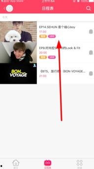 538在线观看福利视频,揭秘热门内容背后的精彩故事