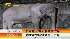 大象蕉福利视频在线,揭秘神秘福利内容，带你领略视听盛宴