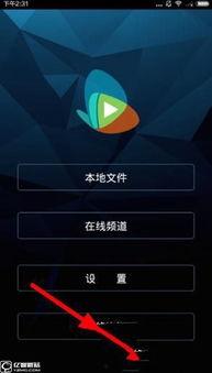 手机福利视频在线观播放