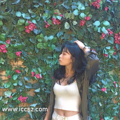 福利在线视频泰国,探索泰国社会福祉与生活品质