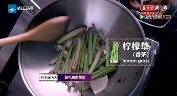 大众福利夜视频在线观看